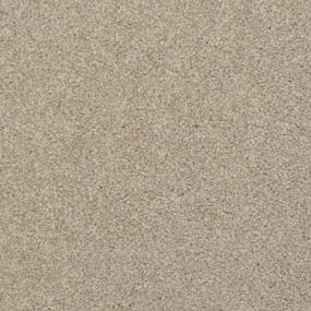 Casual Texture Driftwood Brown Carpet