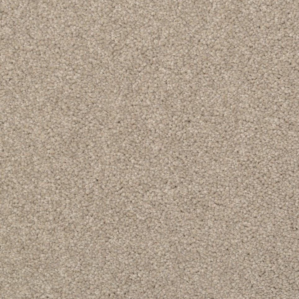 Casual Texture Driftwood Brown Carpet