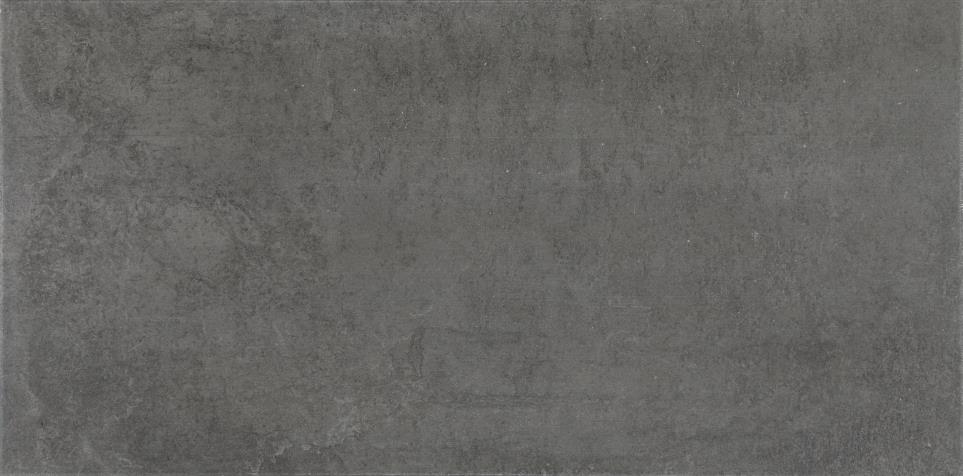 Tile Titanium Light Polished Gray Tile