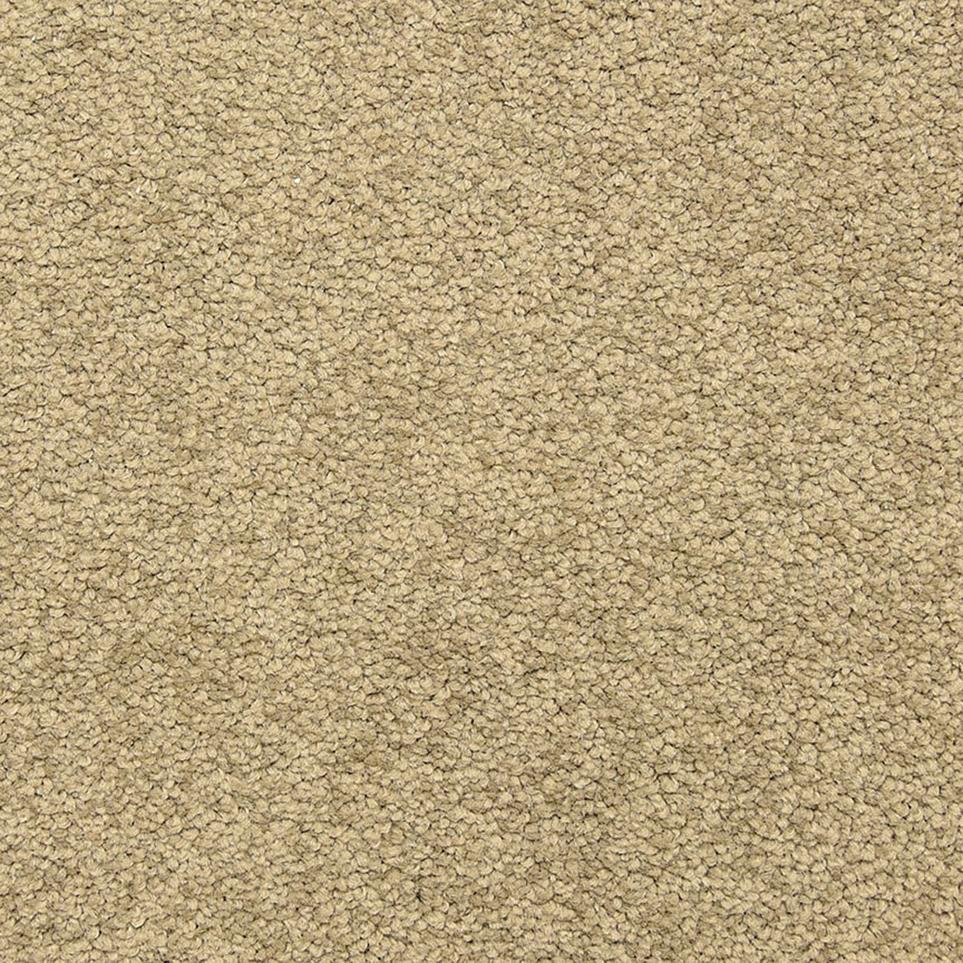 Texture Nutmeg Beige/Tan Carpet