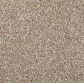 Textured Saxony Awesome Beige/Tan Carpet