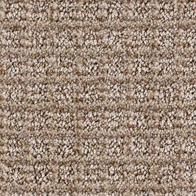 Pattern Victorian Brown Carpet