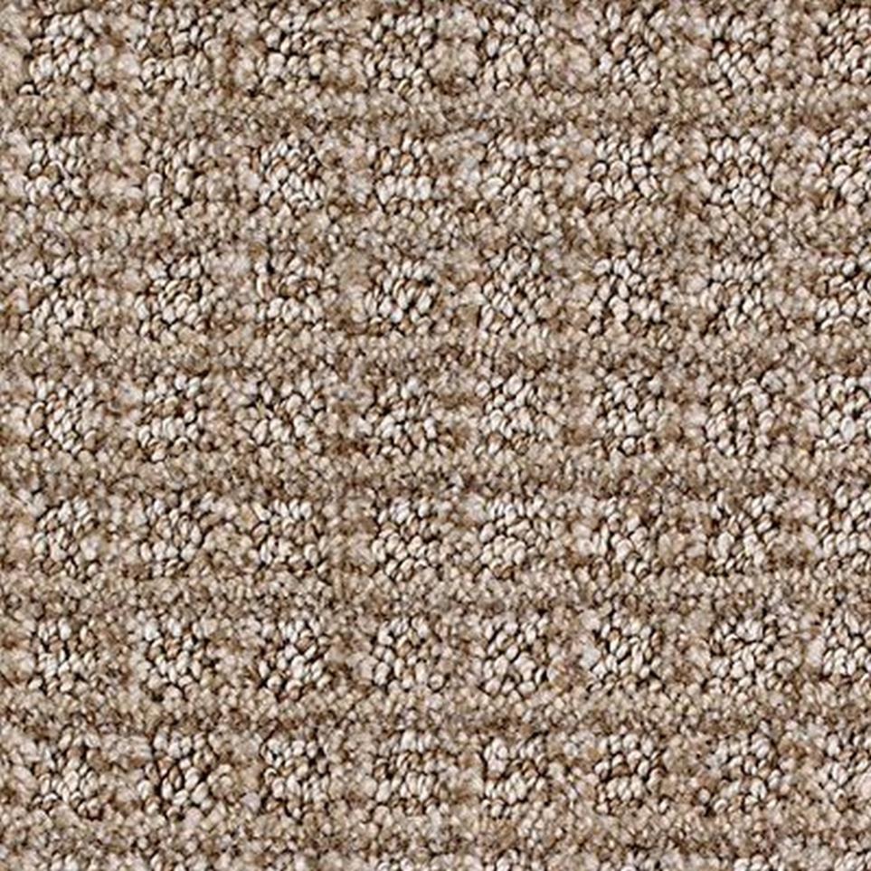 Pattern Victorian Brown Carpet