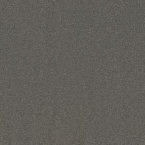 Textured Saxony Trustworthy Black Carpet