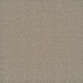 Textured Saxony Marble Beige/Tan Carpet
