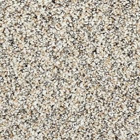 Textured Saxony Ivory Coast Beige/Tan Carpet