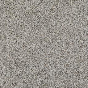 Textured Saxony Devonshire Gray Carpet