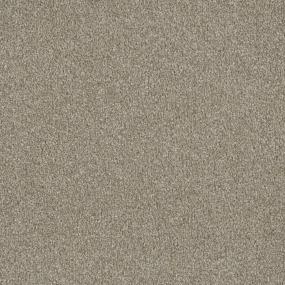 Textured Saxony Featured Beige/Tan Carpet