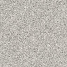 Texture Serenity Gray Carpet