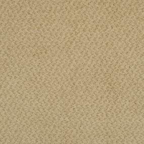 Pattern Antique Bronze Beige/Tan Carpet