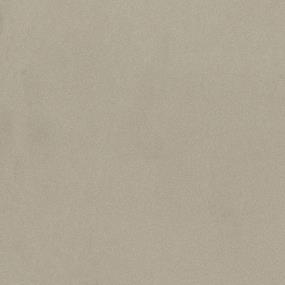 Textured Saxony Cloth Beige/Tan Carpet