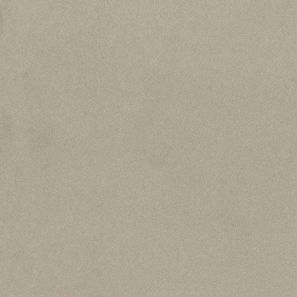 Textured Saxony Cloth Beige/Tan Carpet