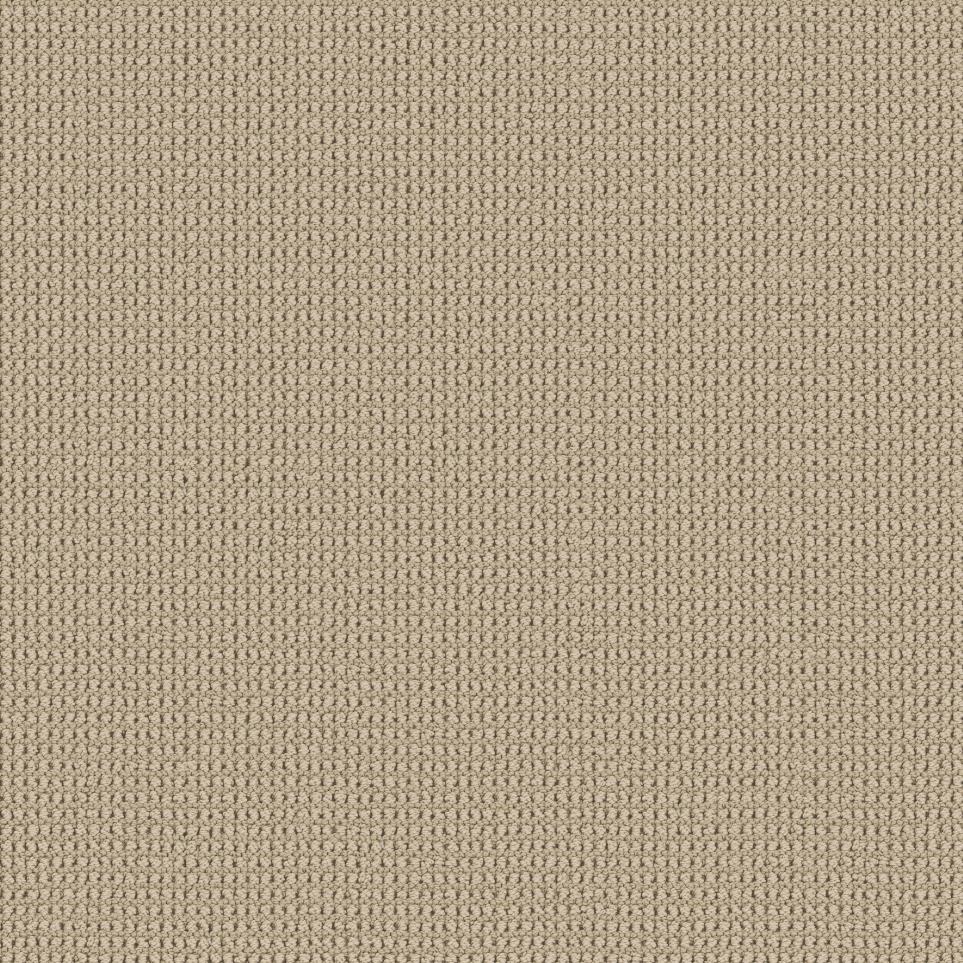 Loop Safari Beige/Tan Carpet