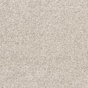 Casual Texture Hazy Glen Beige/Tan Carpet