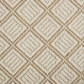Woven Ivory Dove Beige/Tan Carpet