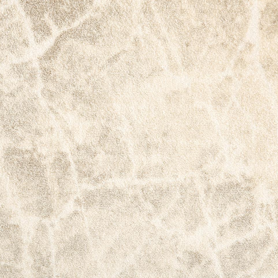 Pattern Travertine Beige/Tan Carpet