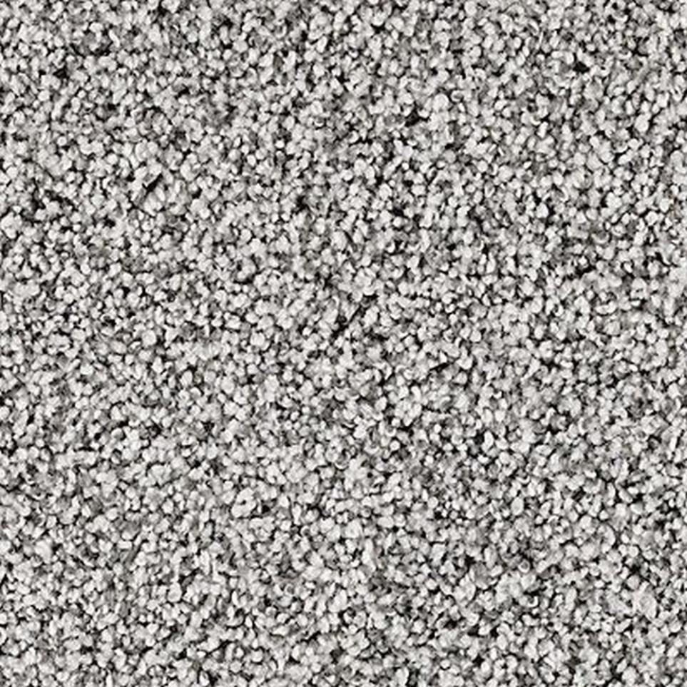 Textured Saxony Marina Gray Carpet