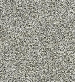 Textured Saxony Street Talk Gray Carpet