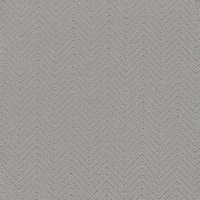 Pattern Wellness Gray Gray Carpet
