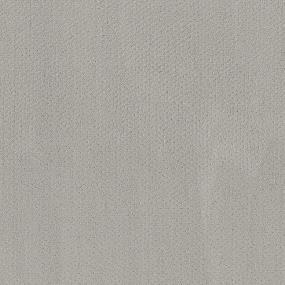 Pattern Mirror Gray Carpet
