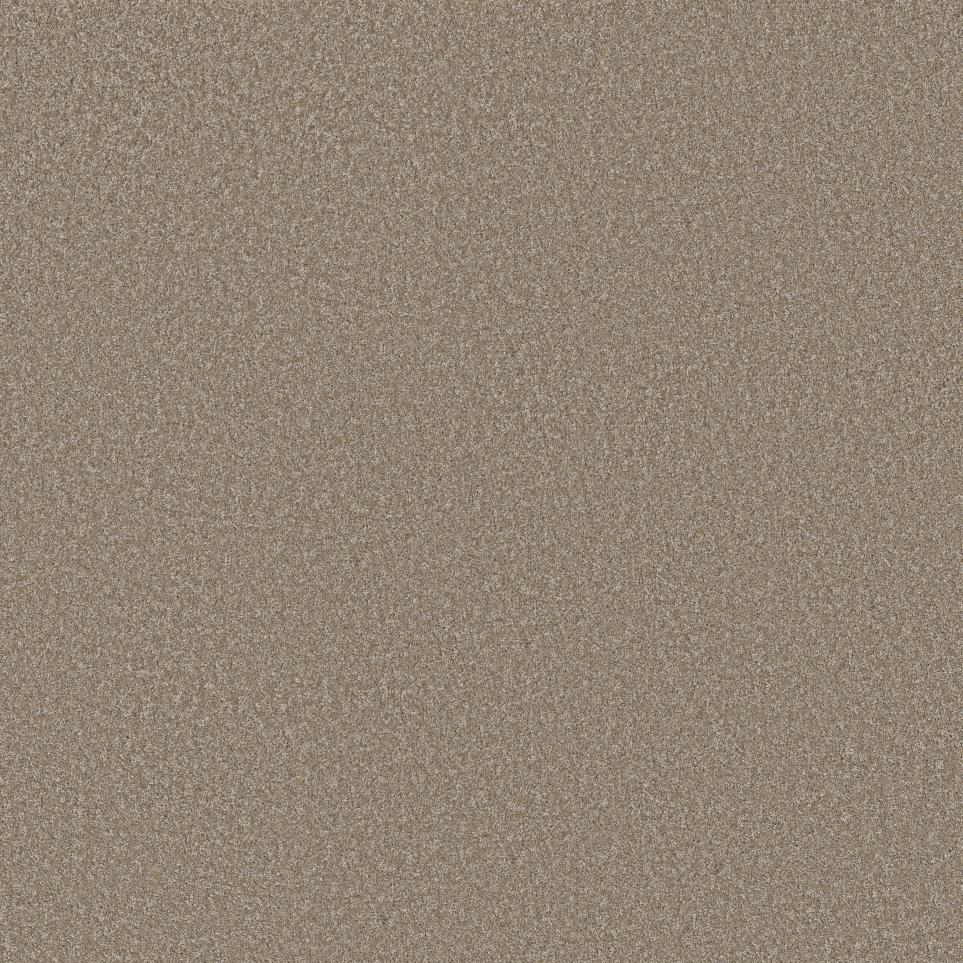 Cut Pile RAW WOOD Beige/Tan Carpet