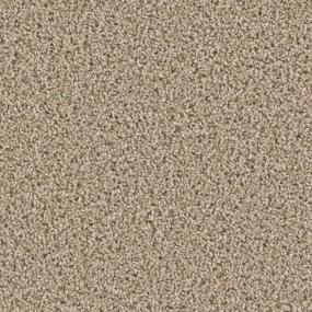 Textured Saxony Focus Beige/Tan Carpet
