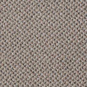 Loop Gunmetal Brown Carpet