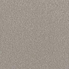 Textured Saxony Prominent Brown Carpet