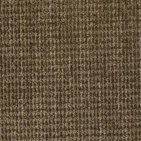 Pattern Relaxed Brown Carpet