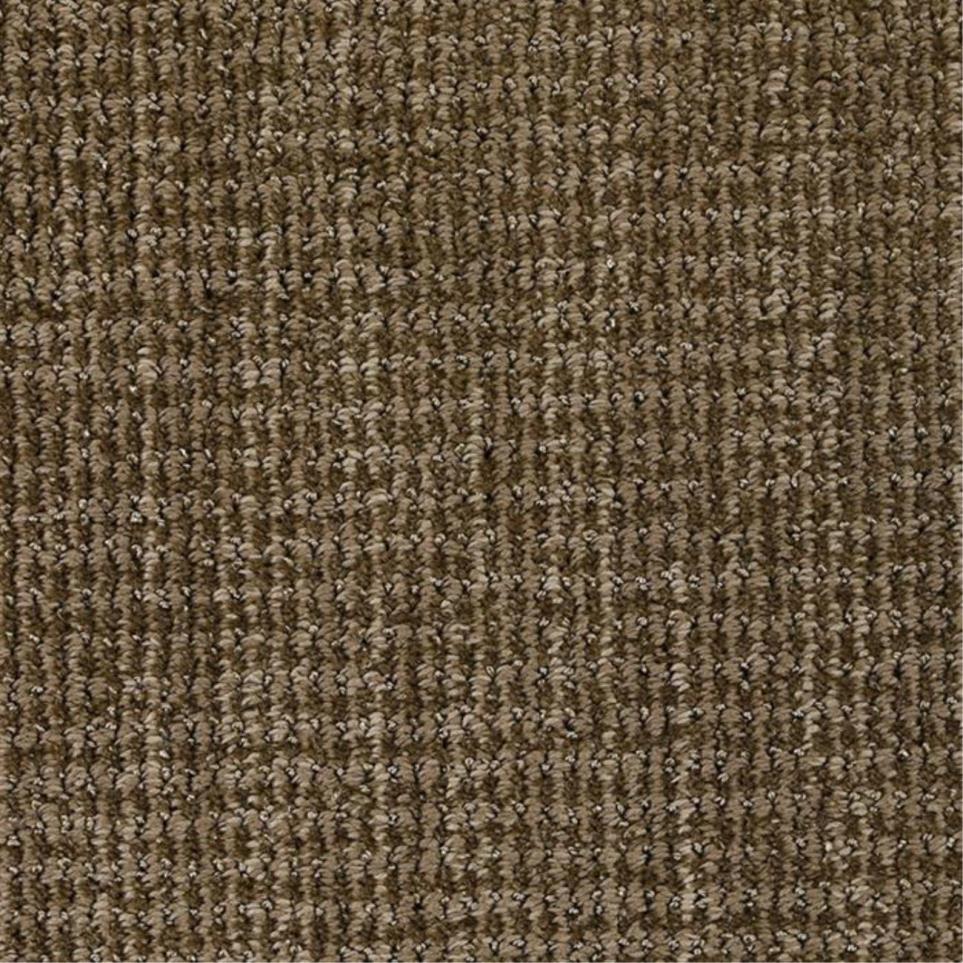 Pattern Relaxed Brown Carpet