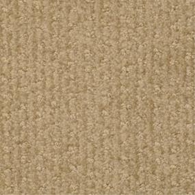 Pattern Divot Beige/Tan Carpet