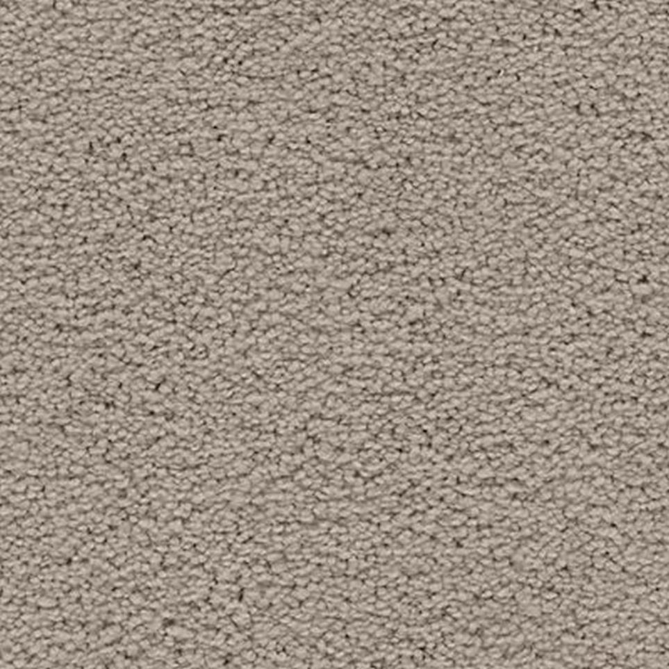 Textured Saxony Dreamy Beige/Tan Carpet