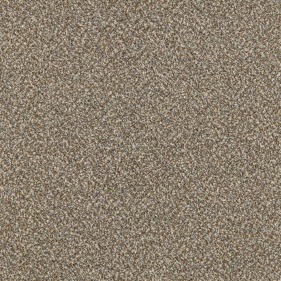 Texture Dakota  Carpet