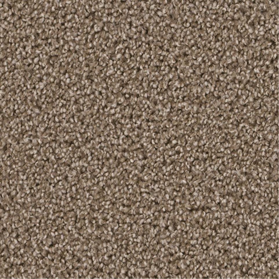 Textured Saxony Angel Wing Brown Carpet