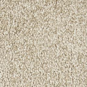 Textured Saxony Orion Beige/Tan Carpet