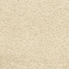 Casual Texture Ledge Beige/Tan Carpet