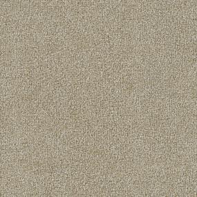 Textured Saxony Sand Dune Beige/Tan Carpet