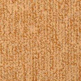 Pattern Copper  Beige/Tan Carpet
