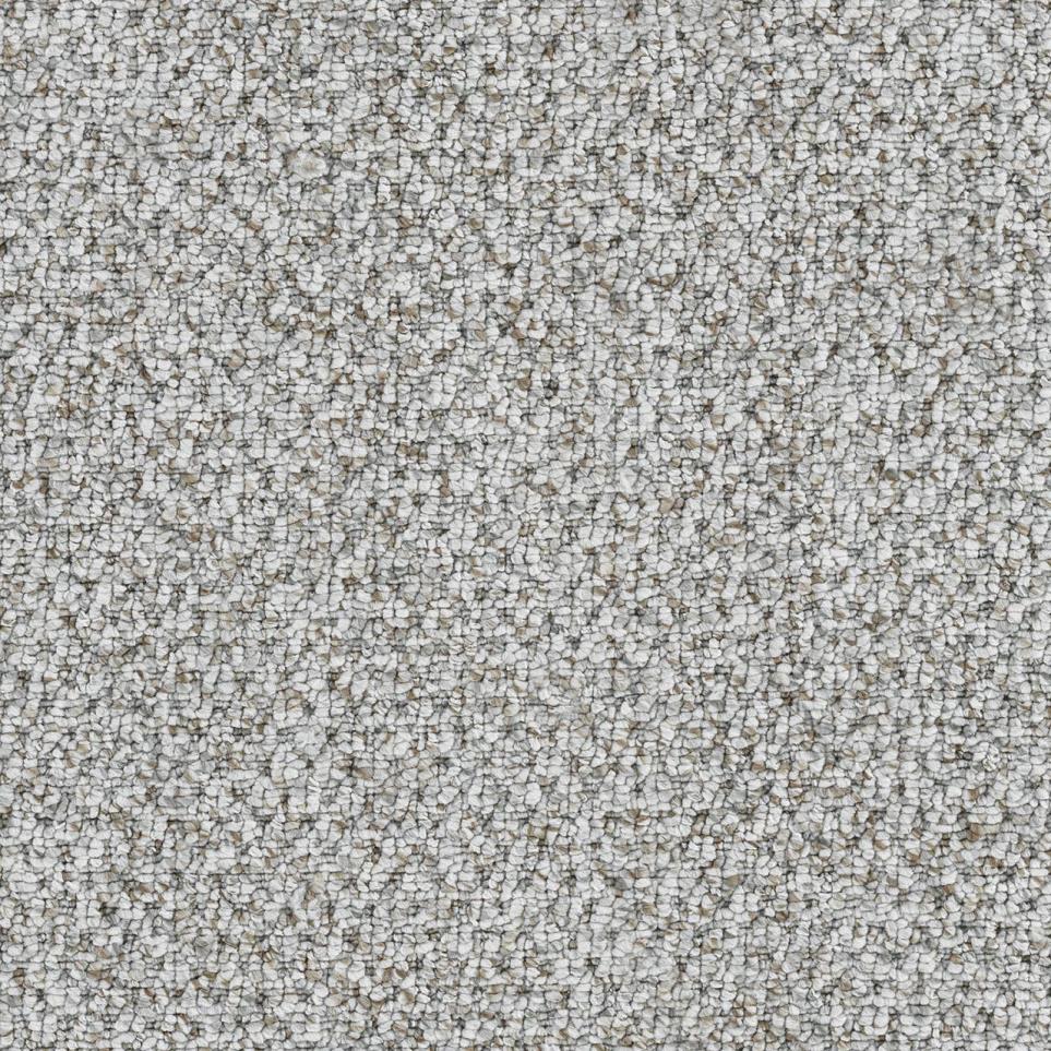 Berber Best Ever Gray Carpet