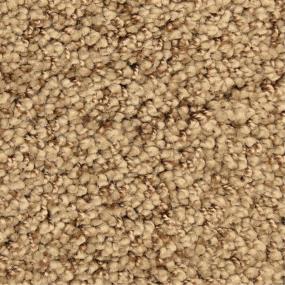 Casual Texture Zion Beige/Tan Carpet