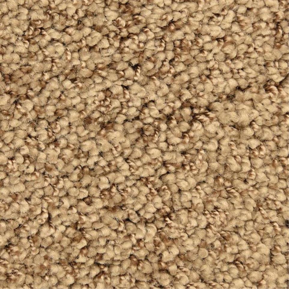 Casual Texture Zion Beige/Tan Carpet