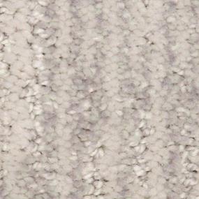 Pattern Silver Dollar Gray Carpet