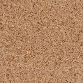 Casual Texture Sandstone          M Beige/Tan Carpet