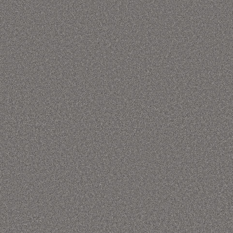 Texture Andiron Gray Carpet