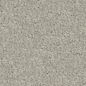 Plush Shadow Beige/Tan Carpet
