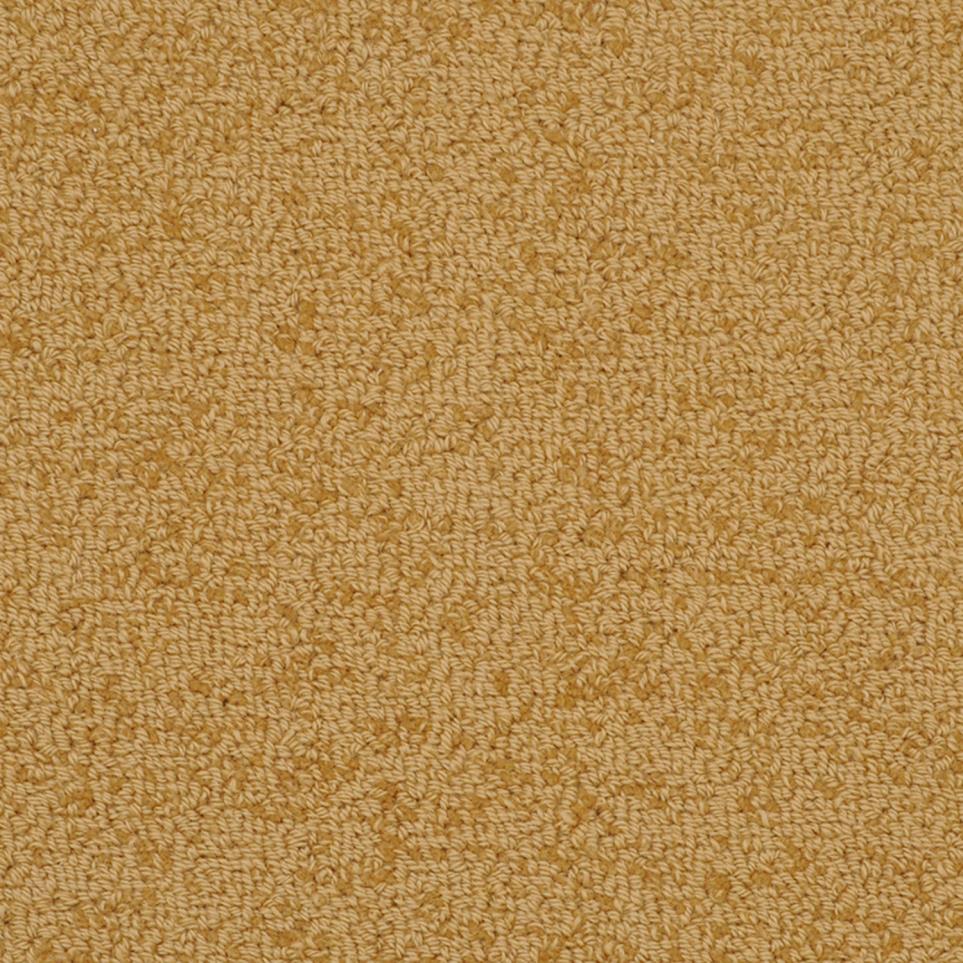 Loop Jute Beige/Tan Carpet