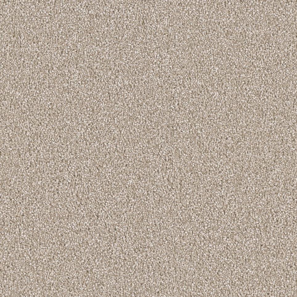 Plush Wheatfield Beige/Tan Carpet