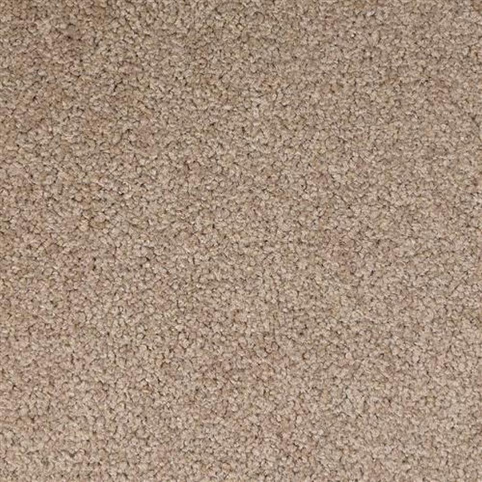 Textured Saxony Splendid Beige/Tan Carpet