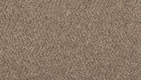 Textured Saxony Swift Gray Carpet