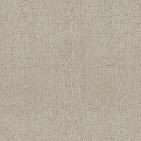 Pattern Soft Landing Beige/Tan Carpet